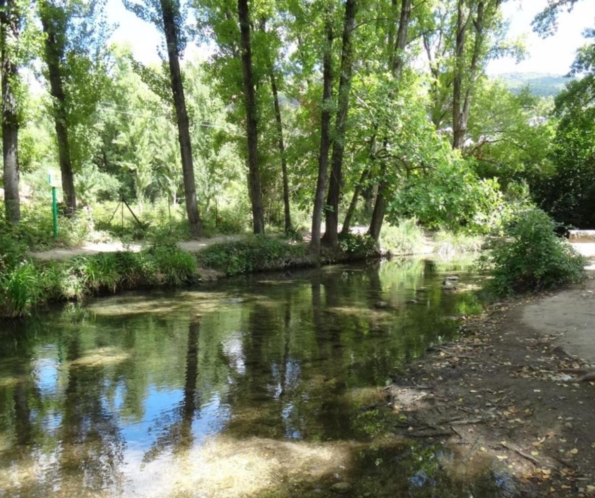 Villa Mi casita del Bosque Esterno foto